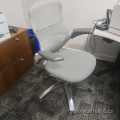 Silver Knoll Generation Ergonomic Adjustable Office Task Chair